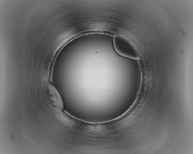 X0000112471129200908171153