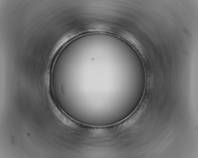 X0000112471130200908171153