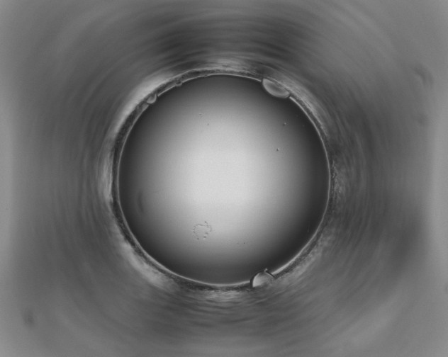 X0000112471131200908171153