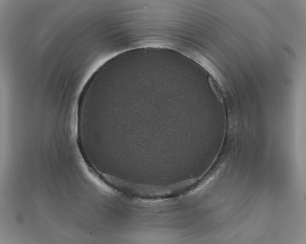 X0000112471132200908171153