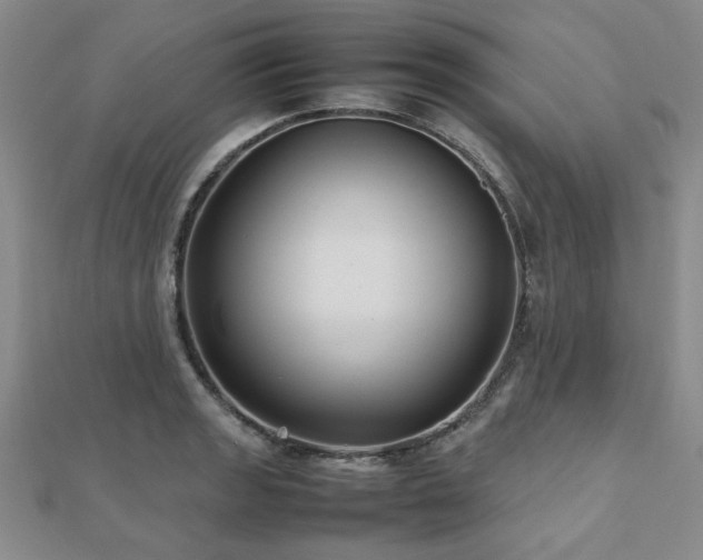 X0000112471133200908171153