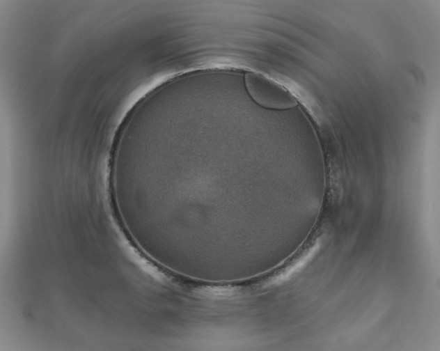 X0000112471134200908171153