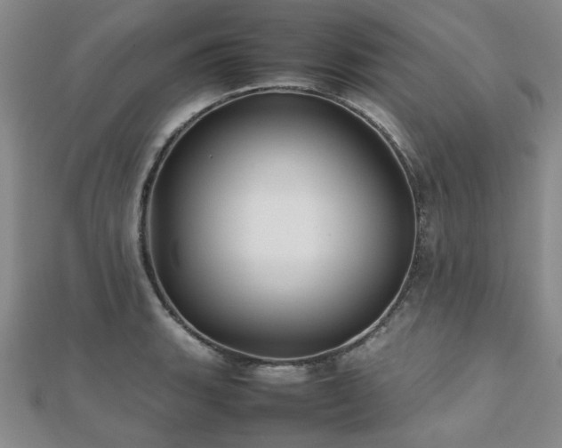 X0000112471135200908171153