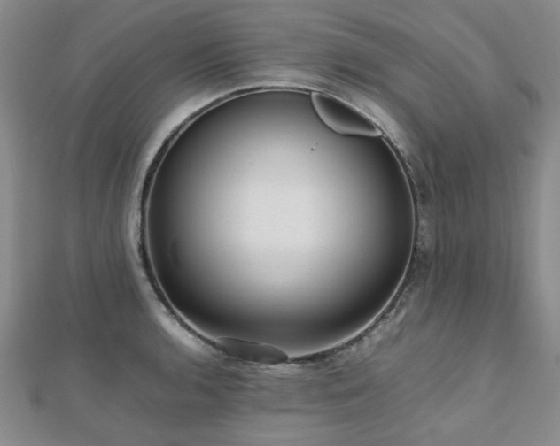 X0000112471136200908171153