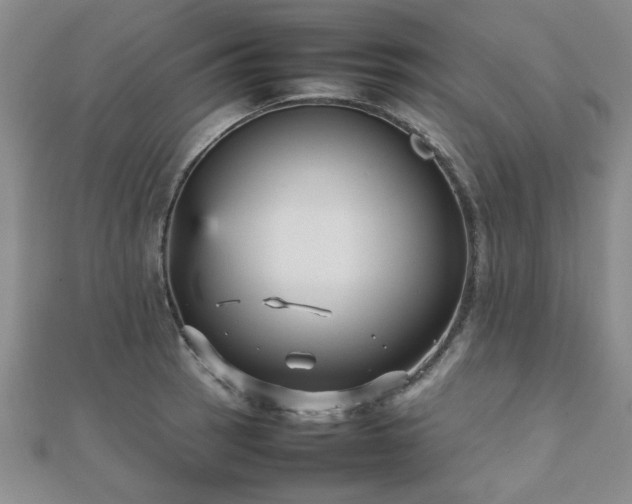 X0000112471137200908171153