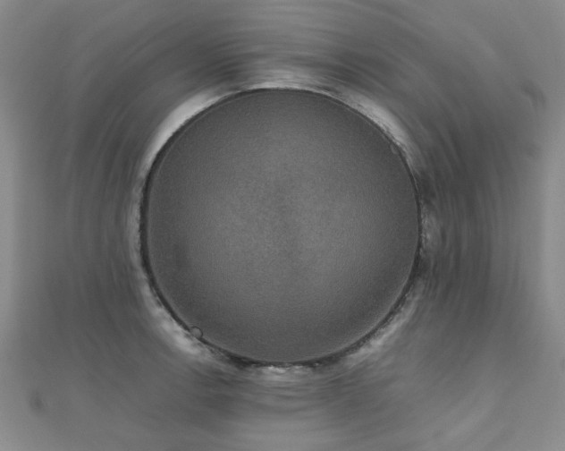 X0000112471138200908171153