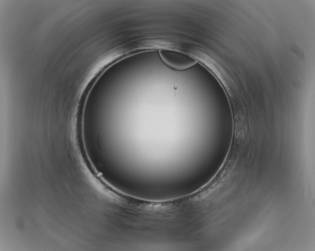 X0000112471139200908171153