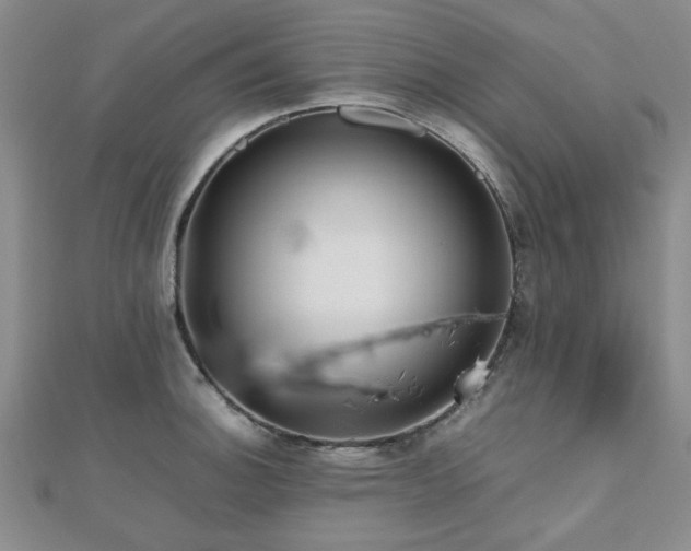 X0000112471140200908171153