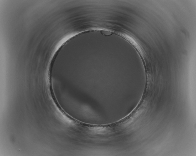 X0000112471141200908171153