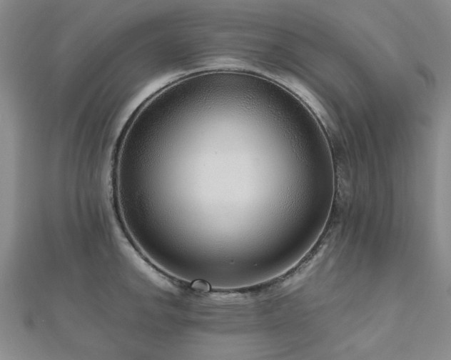 X0000112471142200908171153