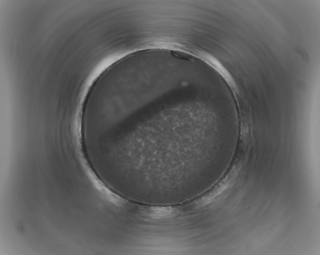 X0000112471144200908171153