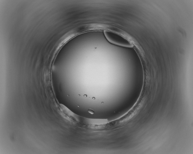 X0000112471145200908171153