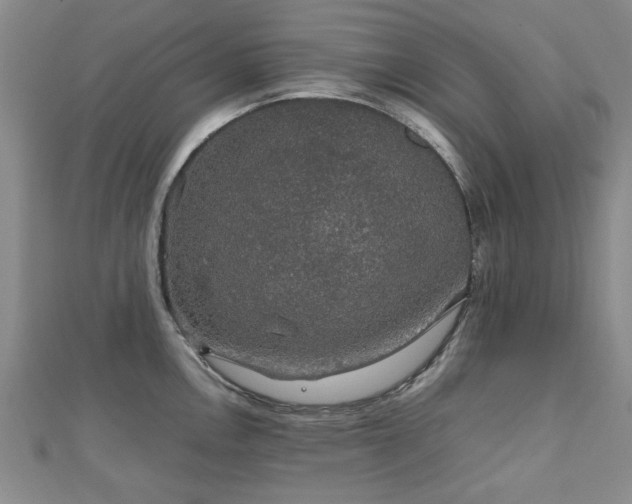 X0000112471146200908171153