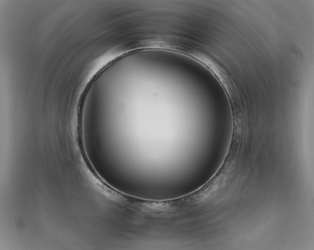 X0000112471147200908171153