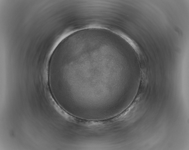 X0000112471148200908171153