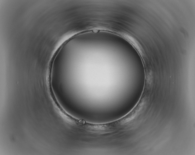 X0000112471149200908171153