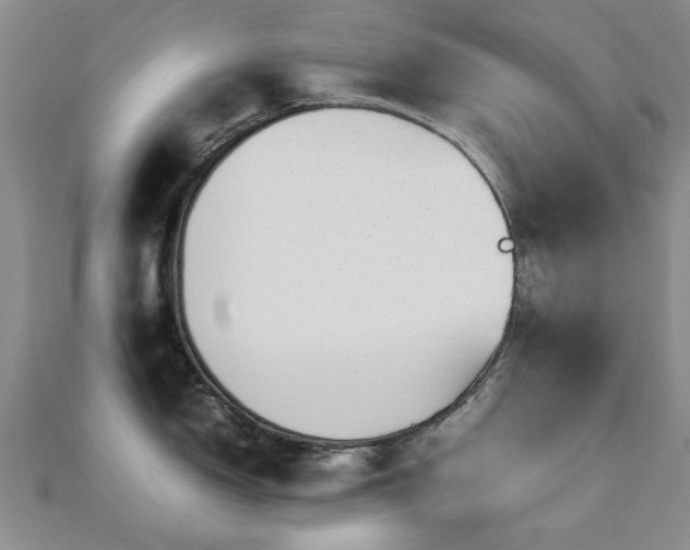 X0000112471150200908171153