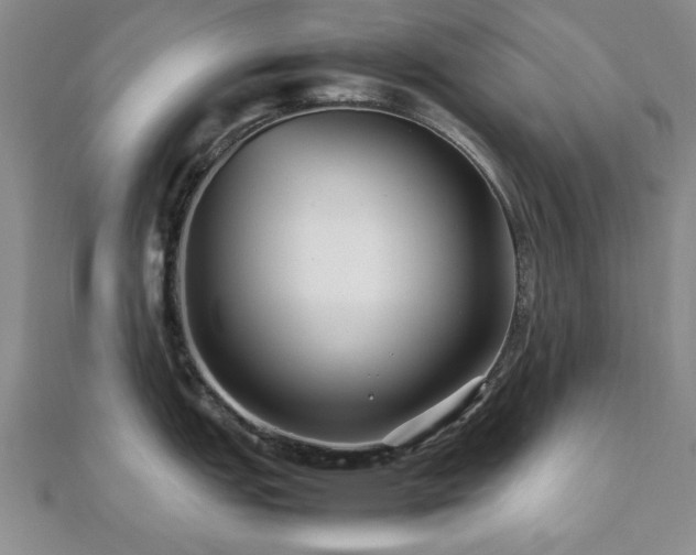 X0000112471151200908171153