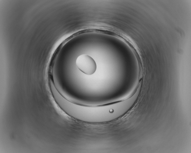 X0000112471152200908171153