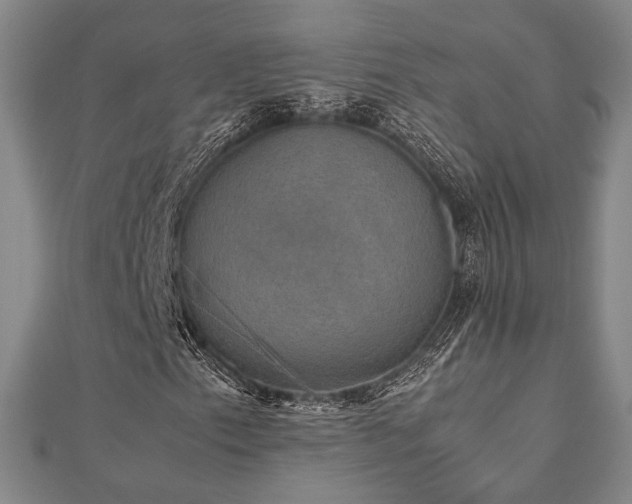 X0000112471153200908171152