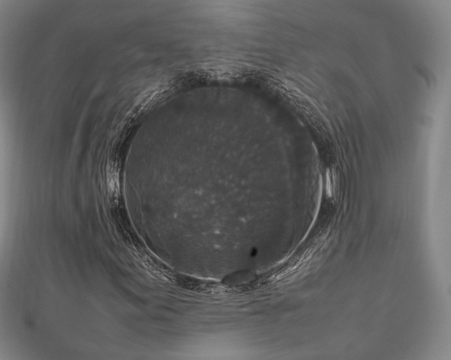 X0000112471155200908171152