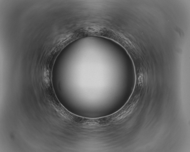 X0000112471156200908171152