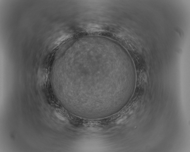 X0000112471157200908171152