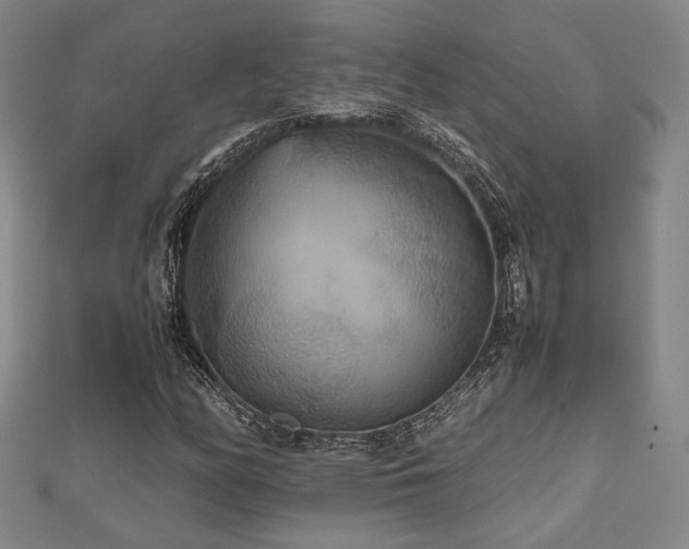 X0000112471158200908171152