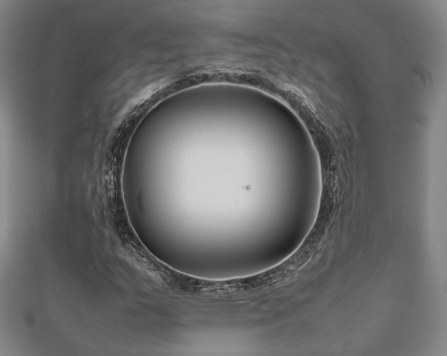 X0000112471159200908171152