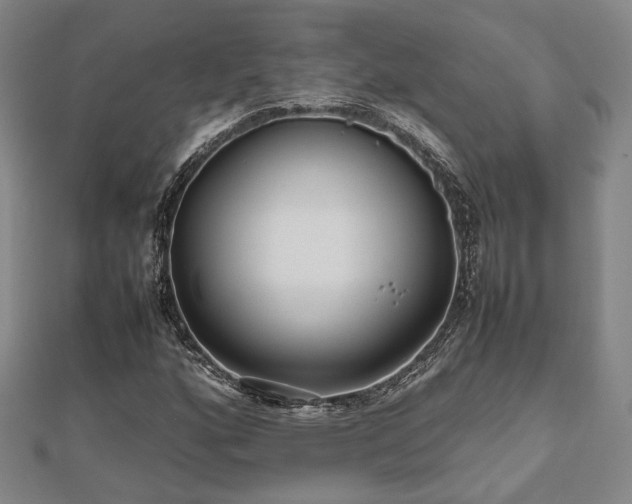 X0000112471160200908171152