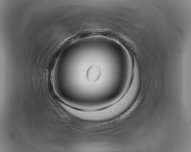 X0000112471161200908171152