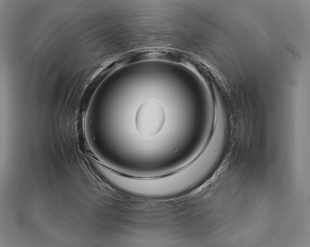 X0000112471162200908171152