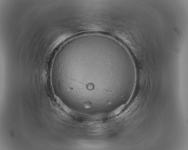 X0000112471163200908171152