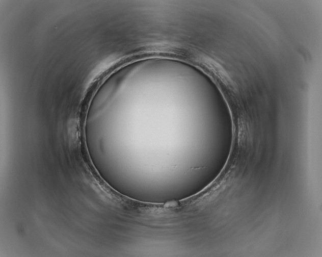 X0000112471164200908171152