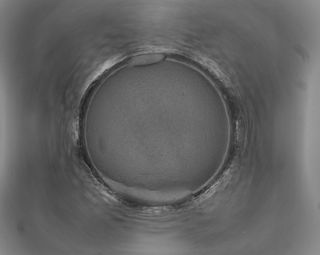 X0000112471165200908171152