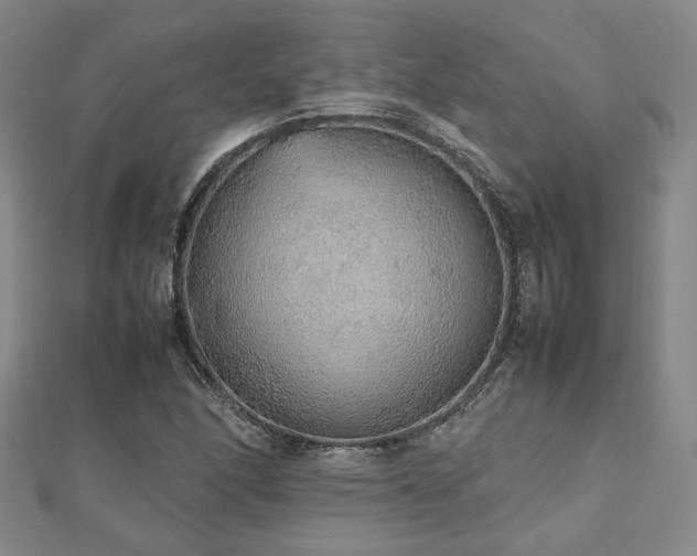 X0000112471166200908171152