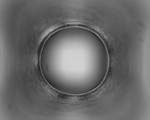 X0000112471167200908171152