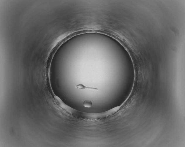 X0000112471168200908171152