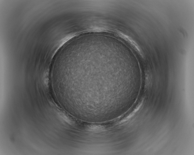 X0000112471170200908171152