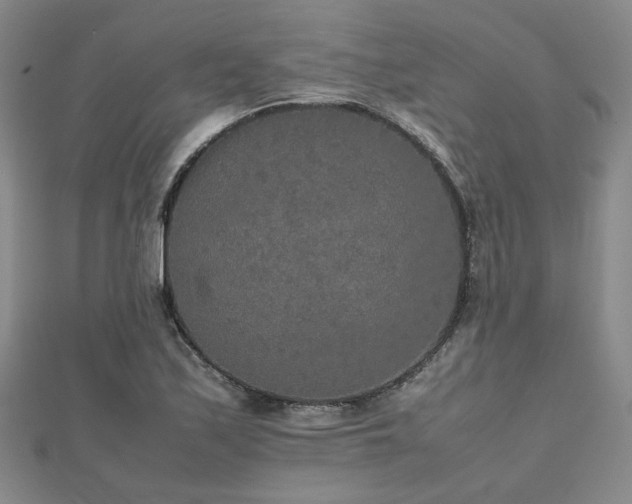 X0000112471171200908171152