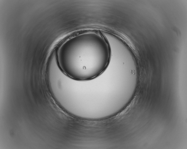 X0000112471172200908171152