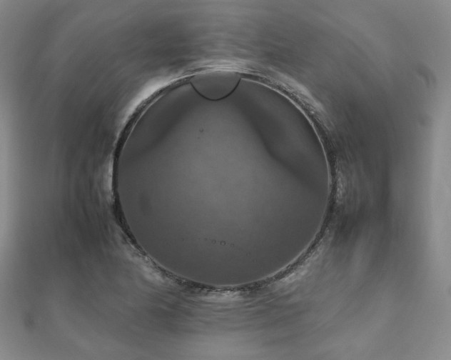 X0000112471174200908171152