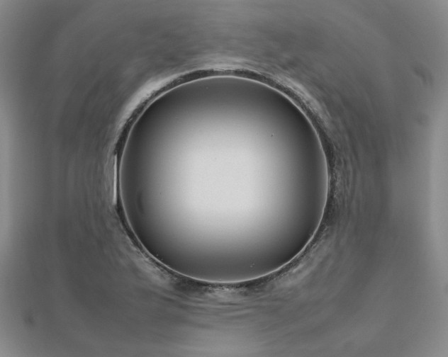 X0000112471175200908171152