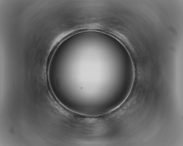 X0000112471176200908171152