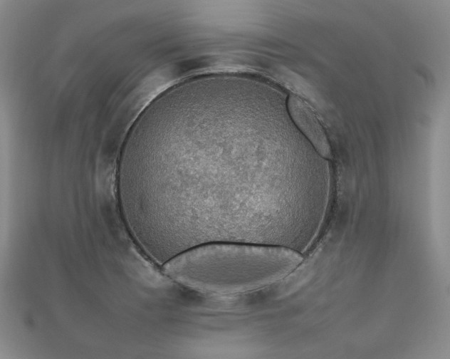 X0000112471177200908171152