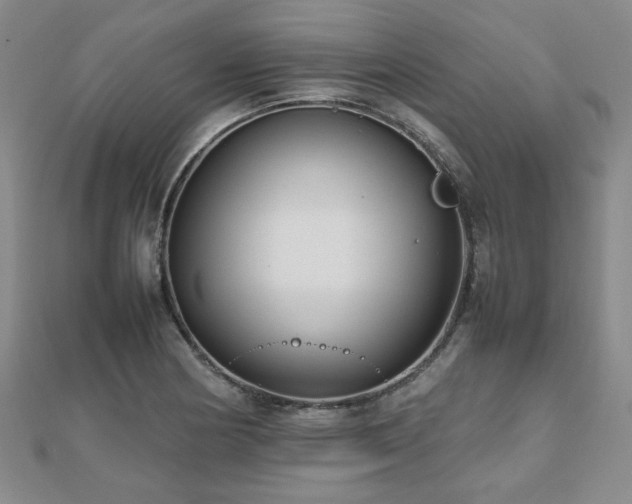 X0000112471178200908171152