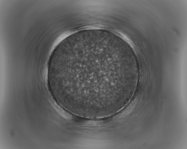 X0000112471179200908171152