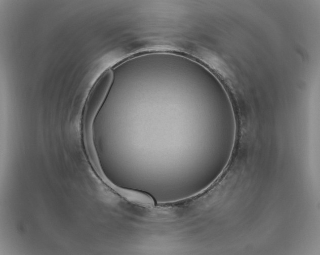 X0000112471181200908171152