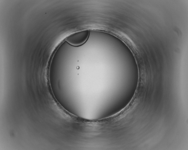 X0000112471182200908171152