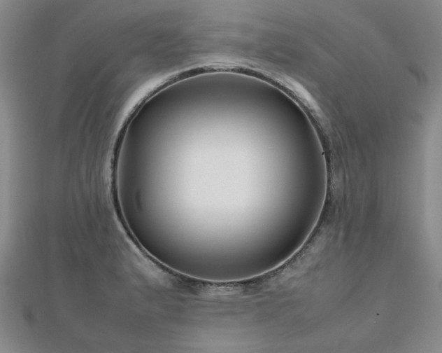 X0000112471183200908171152